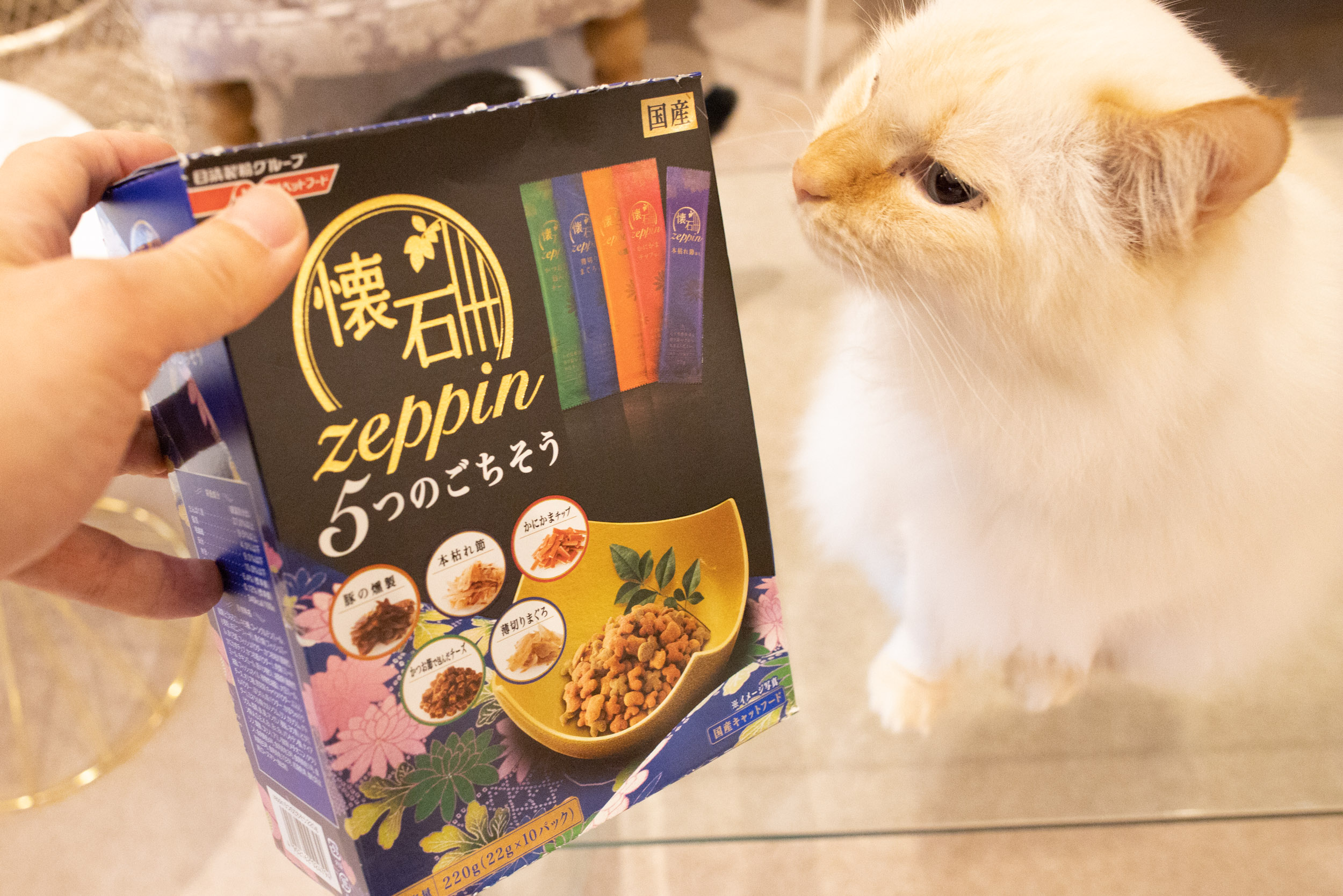 実食！】懐石zeppin５つのごちそうの徹底レビュー - ねことぼく